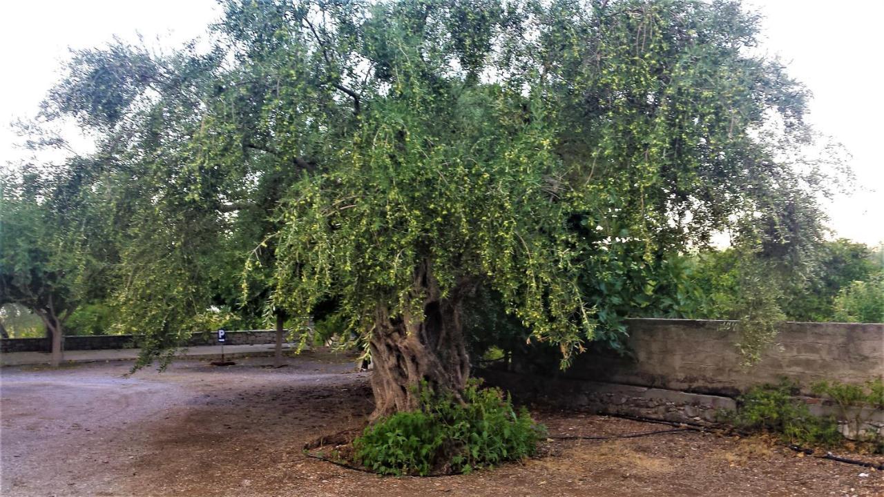 Manto Studios Tirós Exteriör bild